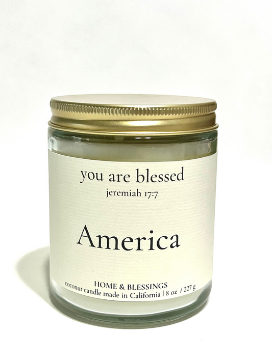 America | Cinnamon + Big Apple + Vanilla