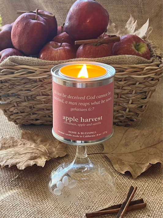 Apple Harvest | Cinnamon + Apple + Vanilla
